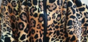 Kids Costumes to Hire - Wildcat - Orange